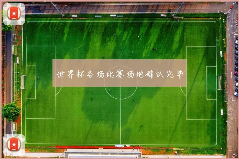 世界杯各场比赛场地确认完毕