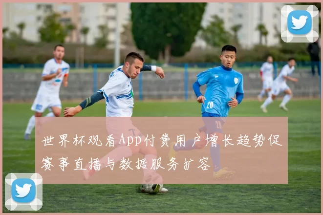 世界杯观看App付费用户增长趋势促赛事直播与数据服务扩容