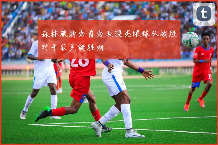 森林狼新秀首秀表现亮眼球队战胜对手获关键胜利