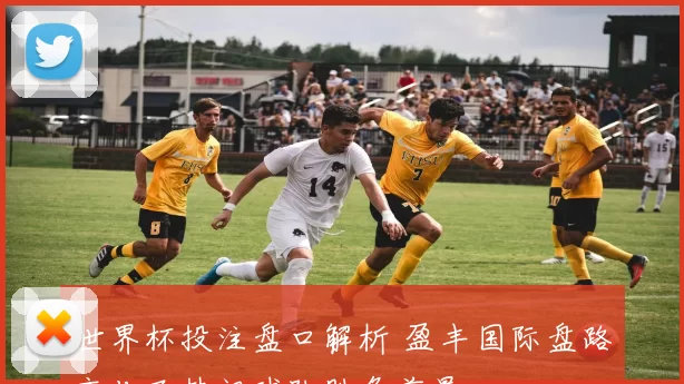 世界杯投注盘口解析 盈丰国际盘路变化及热门球队胜负前景