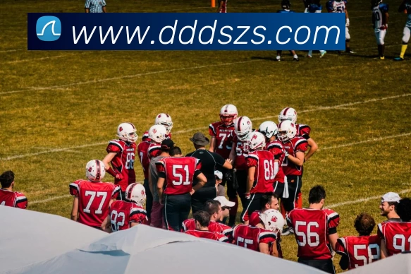 开云体云app官网登录入口 - 开云(中国)APP 封面图